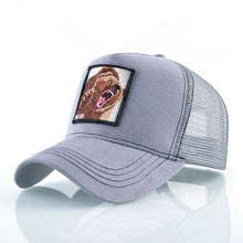 Load image into Gallery viewer, Trucker Style Baseball Caps Breathable Mesh Snapback Caps (Unisex)